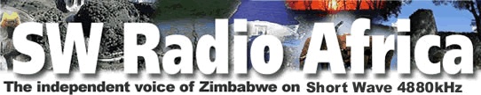 Zimbabwe: Mugabe's AU Rant 'A Sign of Panic'