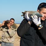 Deadly cluster bomb thought to have killed Estonian mine expert
