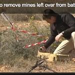 Estonian mine clearance expert killed in Dafniyah