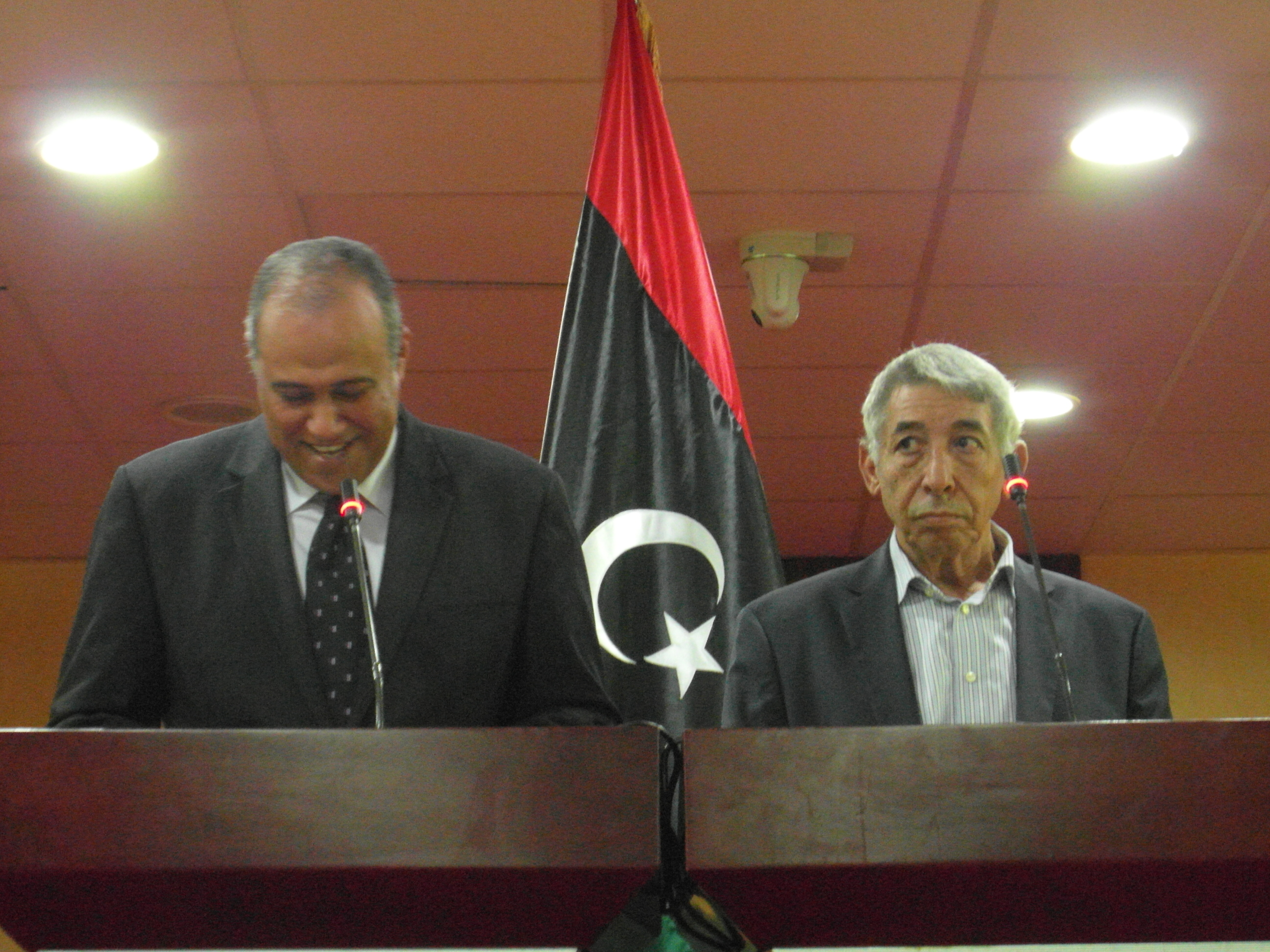Payments to thuwar will resume after completion of database: Finance Minister Hassan Zaglam