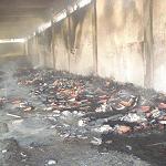 Ajdabiya election storage centre burned by suspected federalist arsonists