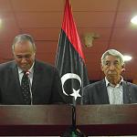 Payments to thuwar will resume after completion of database: Finance Minister Hassan Zaglam