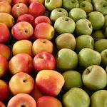 Lebanese apples coming to a shop near you