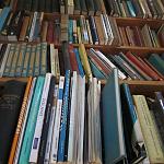 Libyan publishing to be honoured at Cairo Book Fair