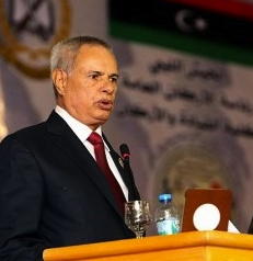Defence minister says former deputy behind assassination attempt