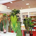 Tripoli's Home and Garden show continues