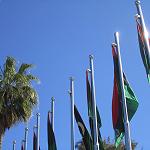 Libyan NGOs call for peaceful celebrations