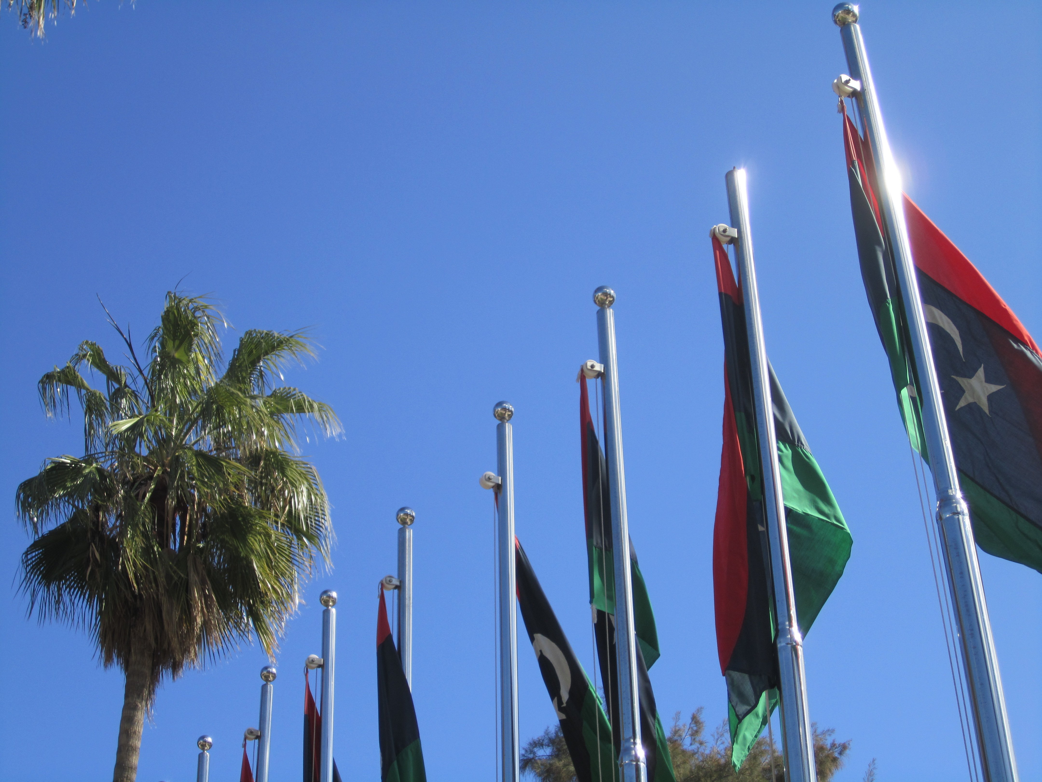 Libyan NGOs call for peaceful celebrations