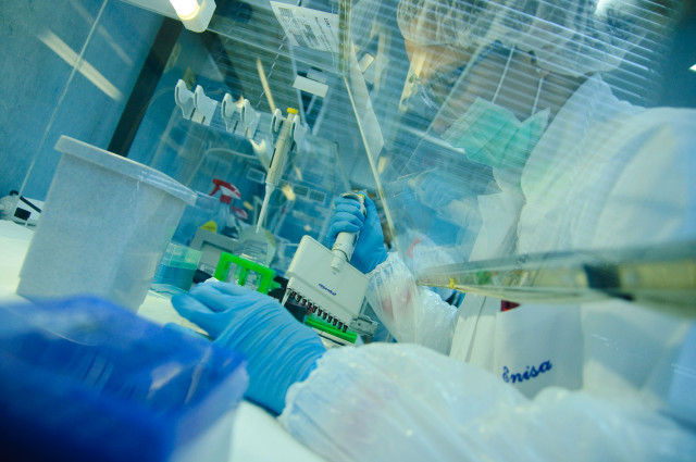 DNA samples help identify bodies from Bin Jawad mass grave