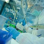 DNA samples help identify bodies from Bin Jawad mass grave