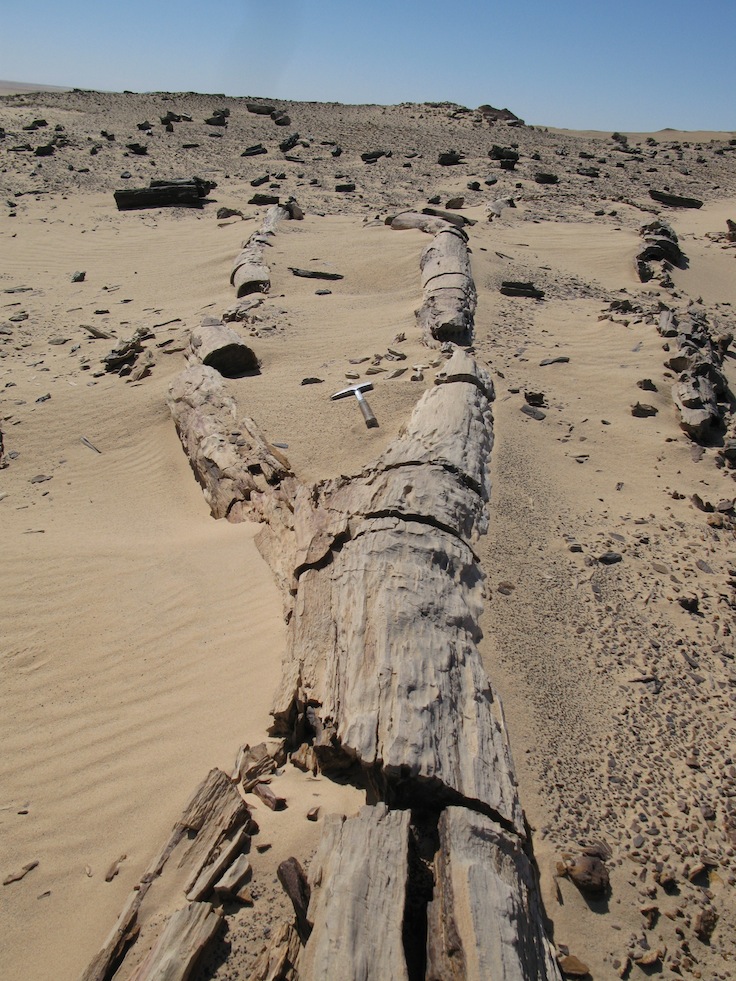 The Franco-Libyan project: a successful example of international scientific collaboration
