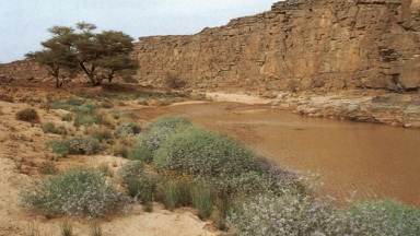 The Libyan desert: natural and human heritage under threat