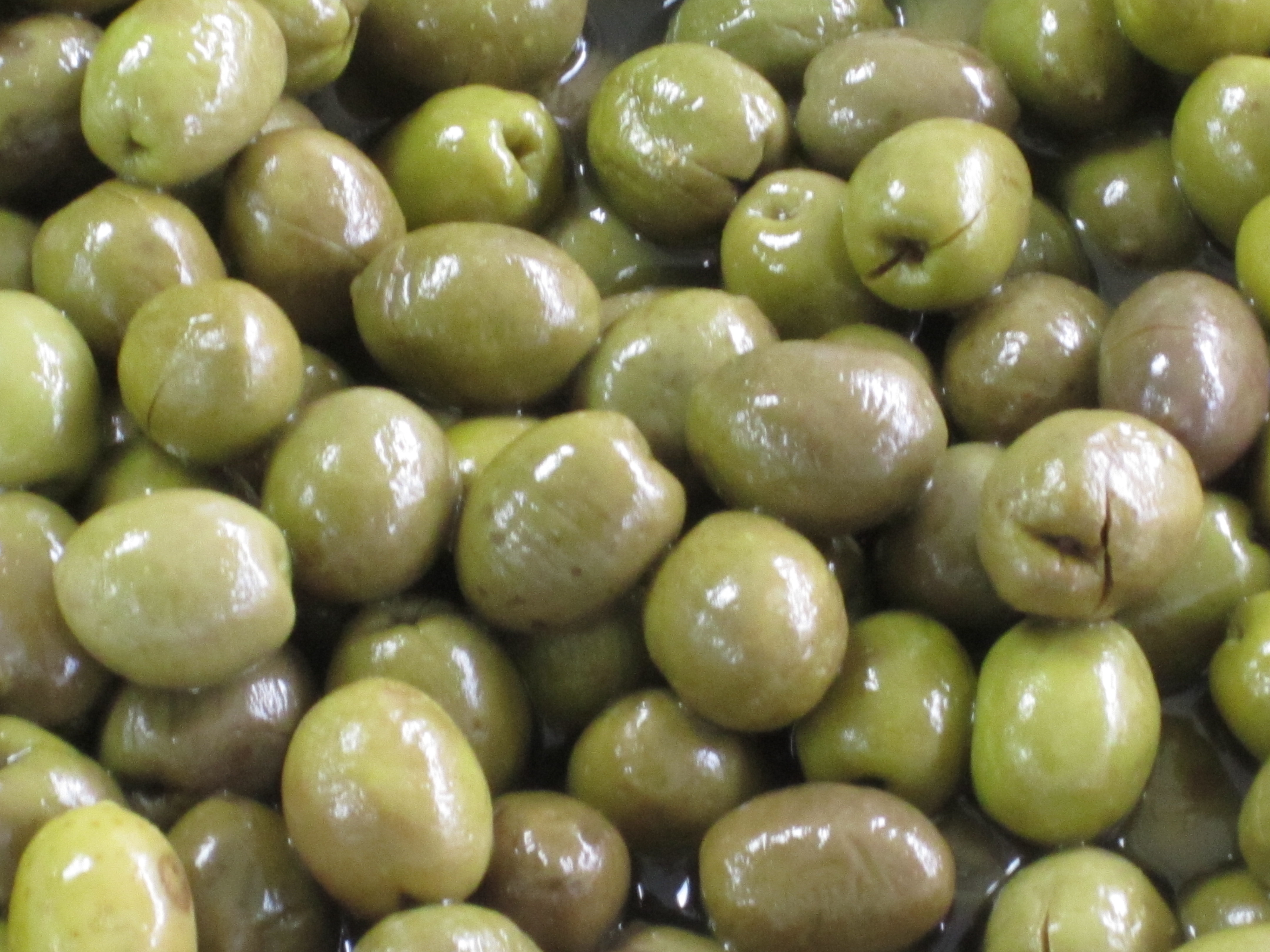 Agro-Libya: food, fishing and agriculture exhibition opens next week