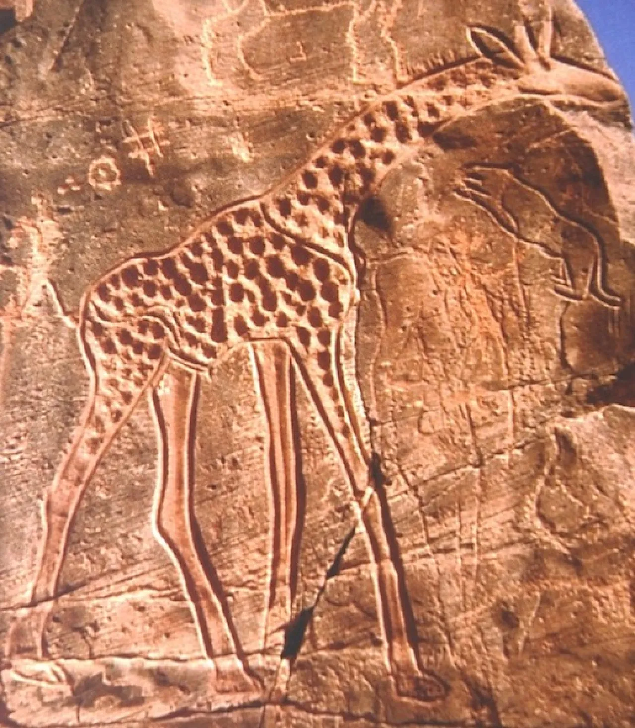 A giant giraffe that was engraved on top of earlier engravings