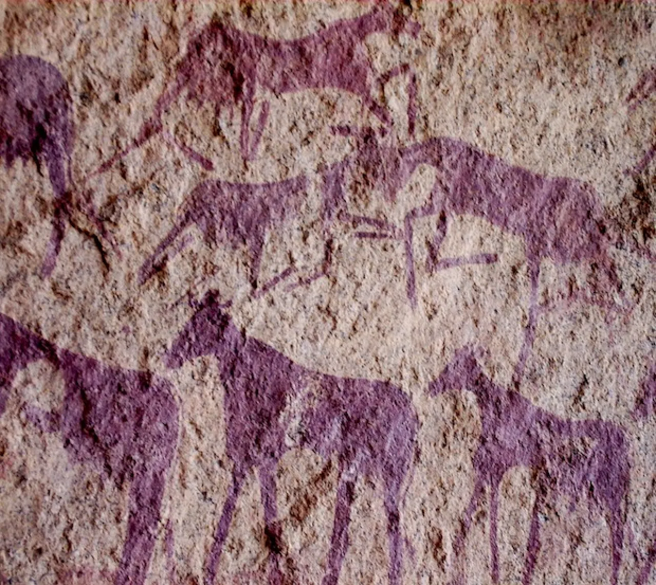 Paintings which also need protection from vandalism and misuse. Some were sprayed with water to get better photographs.