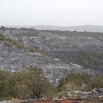 Cyrenaica forest fires under control