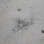 Small explosion on Tripoli's Corniche; security officials try to supress story