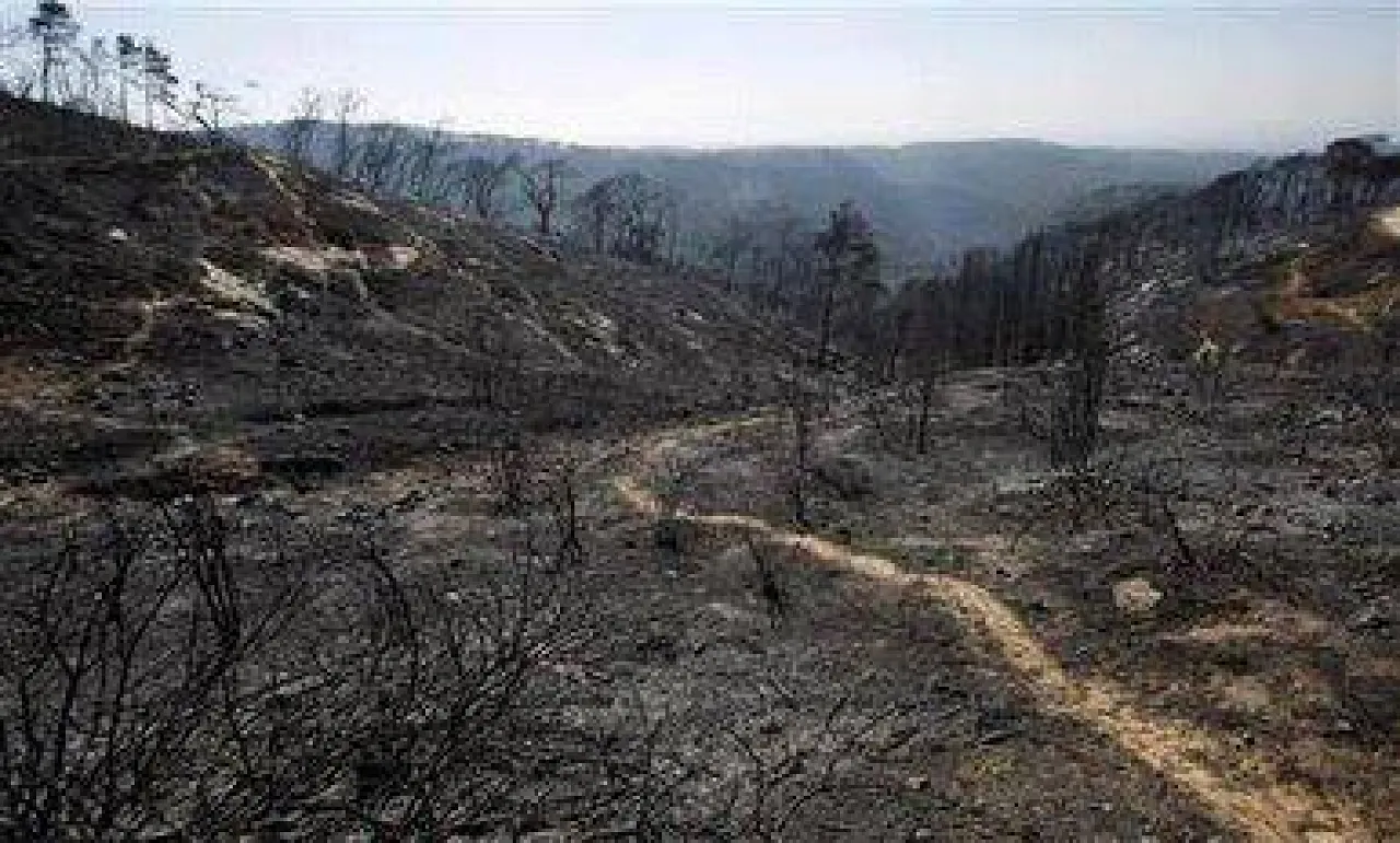 988729_509691865744652_110504351_n The scene of devastation this morning