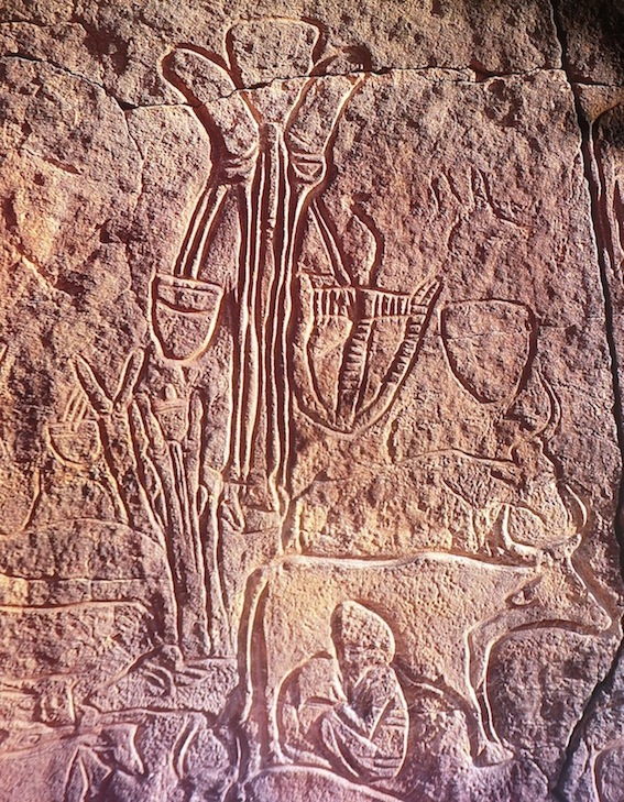Messak Plateau, Fezzan: An endangered natural and human heritage area