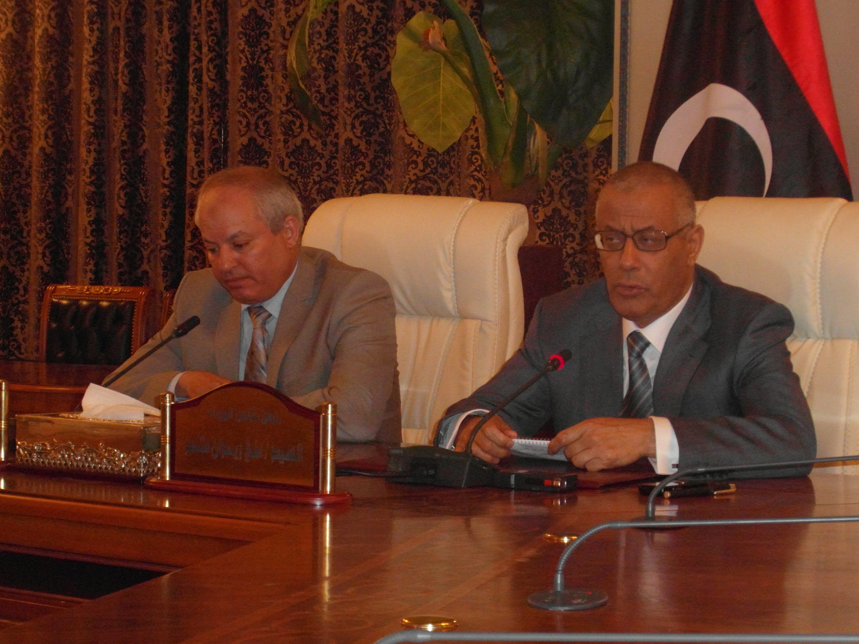 Public criticism does not affect me - Zeidan