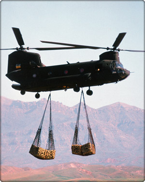 Military considers $700 million Chinook helicopter deal