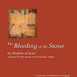 Libyan novels “best books” about the country
