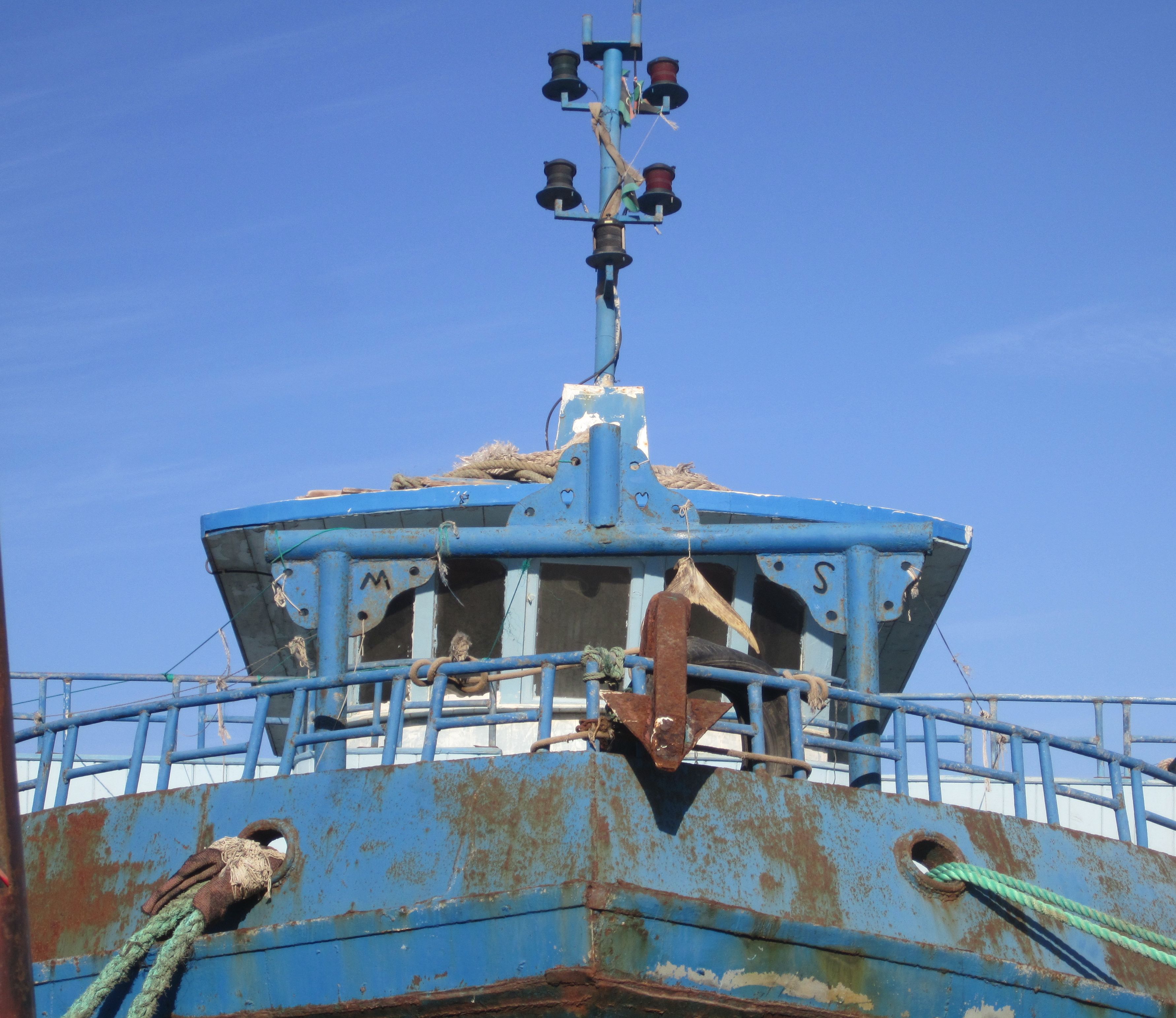 Libya takes first steps towards exporting fish to Europe