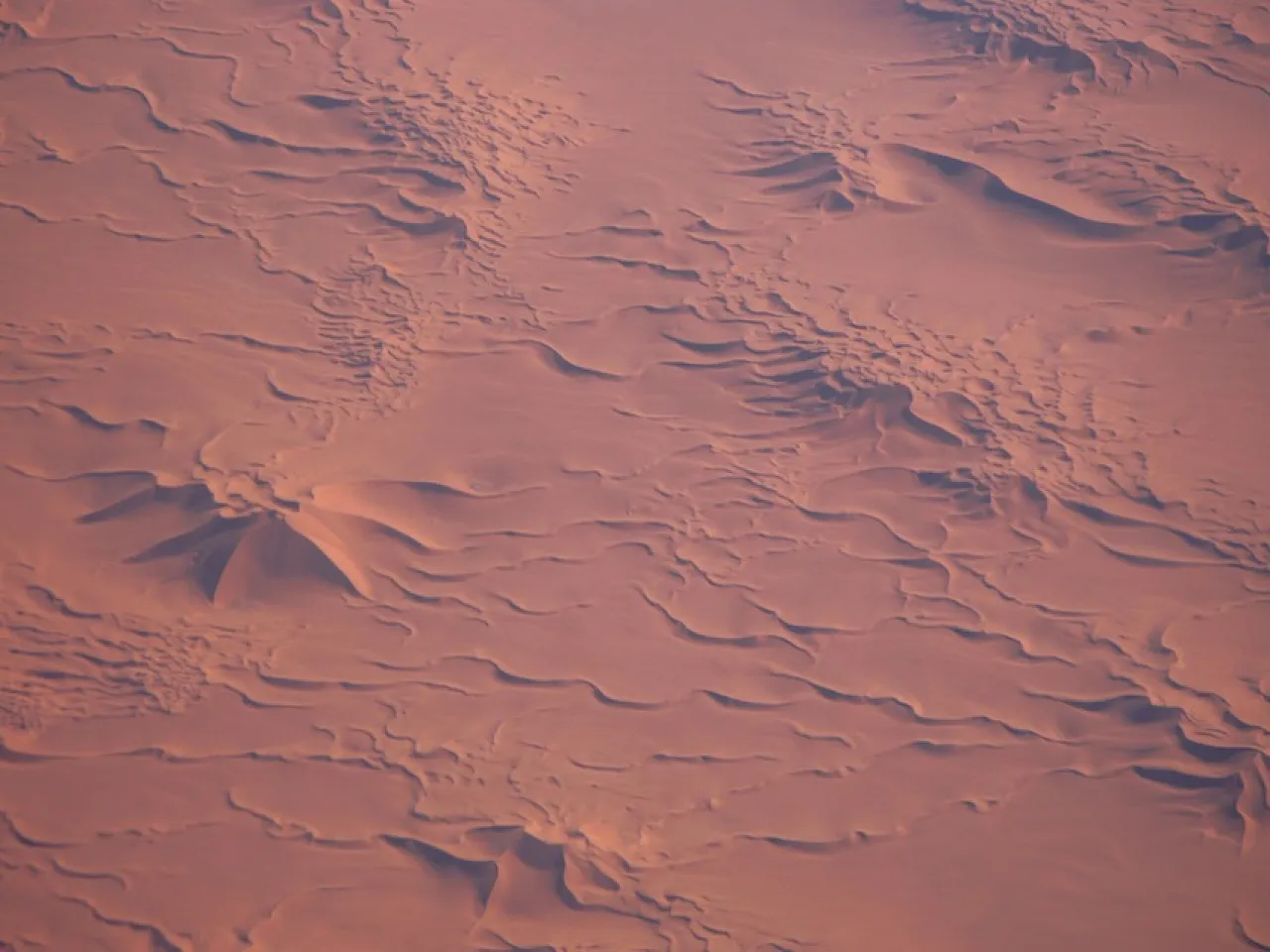 Figure 4: An aerial view of the complex dunes in Idhan Obari. Note the star dunes with several different prevailing wind directions and more than one slip face. Barachanoid and transverse dunes dominate the terrain. (Photo courtesy of Franco-Libyan Palaeontological Project.)