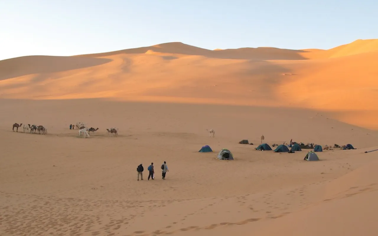 Figure 8: A fly camp for an international scientific expedition (Franco-Libyan Palaeontological Project) to the palaeolakes of Idhan Murzuk (2006), using camels.  A slow but practical way of exploring the remote areas within the dunes. This mode of transport could be utilised not only for scientific expeditions but also for adventure tourism to the exclusion of motorised vehicles. (Photo courtesy of MPFL Project.)