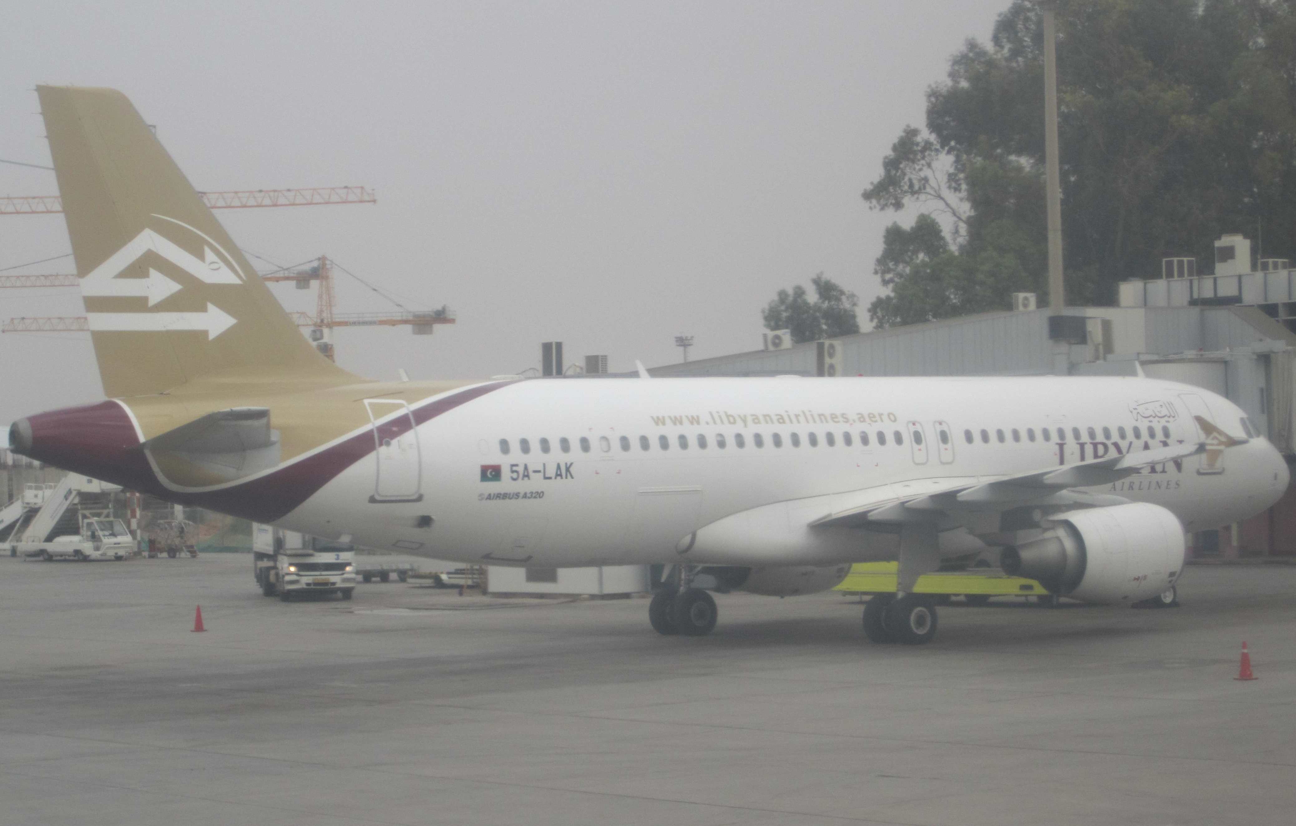 Libyan planes to fly to EU by March: Civil Aviation head Nasereddin Shaebelain