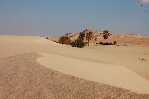 Umm Aranib honours security forces