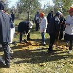 Tripoli University launches tree-planting campaign