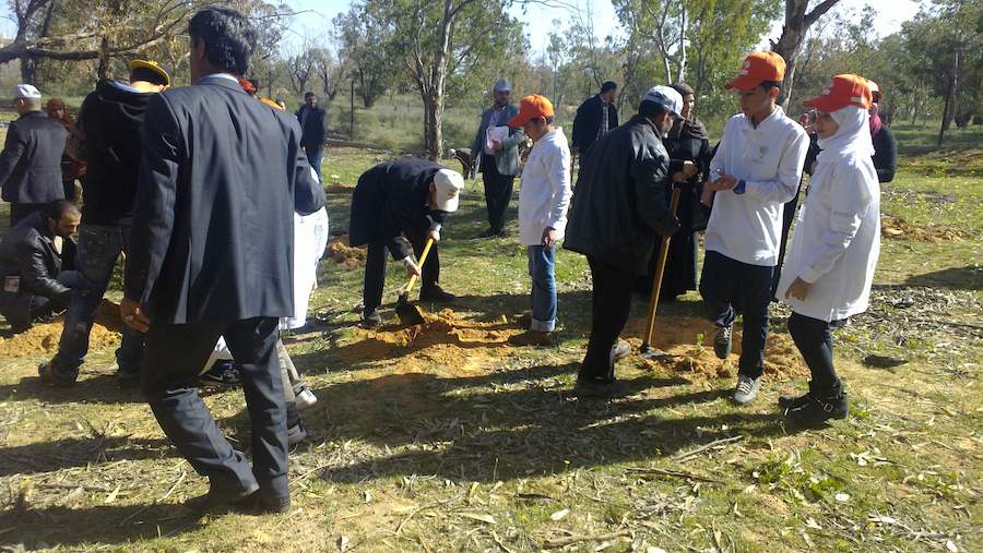 Tripoli University launches tree-planting campaign