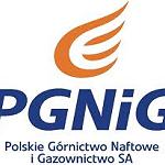 New gas discovery in Murzuk Basin