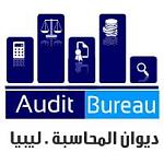 2013 Audit Bureau report rebukes government for giving poor value for money