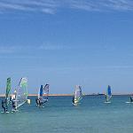 National windsurfing championship