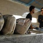 Benghazi's fish market flourishes, but consumers complain of price hikes
