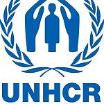 Sentiment growing against illegal refugee settlement, resettlement or naturalisation across Libya – UNHCR singled out for criticism