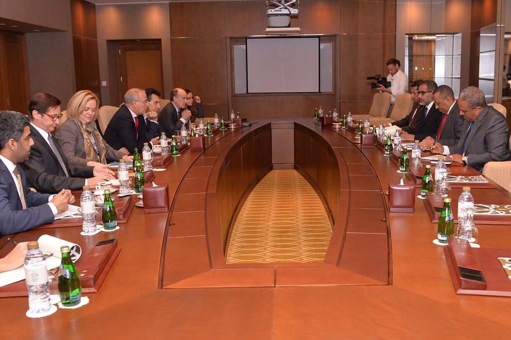 Western allies tell Thinni of commitment to his government and HoR