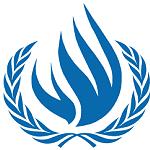 Human rights situation in Libya ‘’bleak’’: UN report
