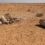 Zintan airport bombed by Libya Dawn aircraft