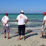 Scores of migrant bodies washed back to Libya