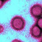 Confirmed death of Tripoli child from H1N1 swine flu