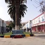 This year's Tripoli International Fair disappoints