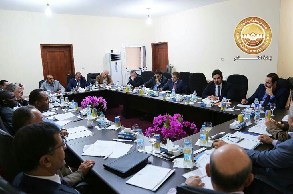 HoR tells UN Panel of Experts weapons sanctions must end