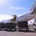 More dinars are flown in to Tripoli to ease currency shortage