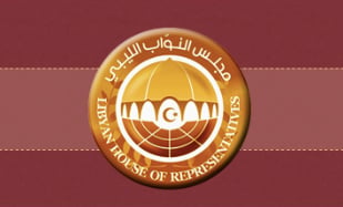 HoR forms 12-member committee to review draft constitution