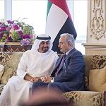 UAE restates support for Hafter and LNA
