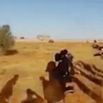Mahmoud Warfali in new execution video