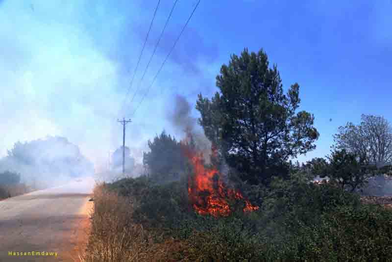 Farmers struggle to control Shahat woodland fires with spray guns